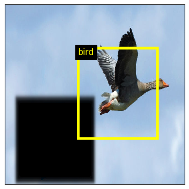 Testing a single object detector with a resnet-152 feature extractor, when one of the two birds is occluded. Source image from Aurélien Audevard